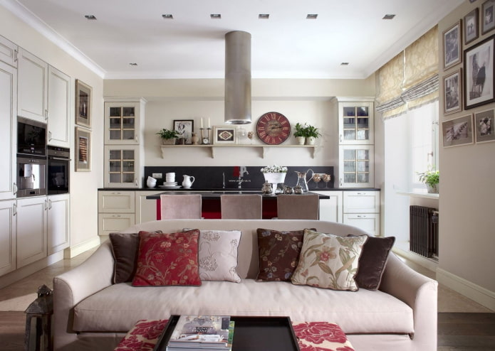 zoning with a sofa in the interior of the kitchen-living room