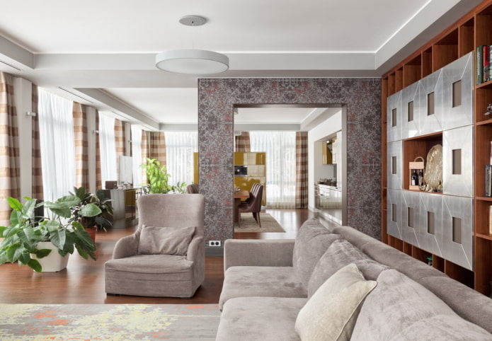 zoning with a portal in the interior of the kitchen-living room