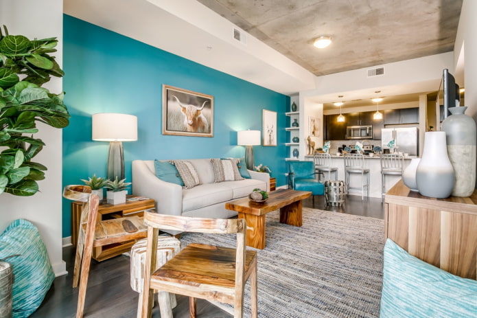color zoning in the interior of the kitchen-living room