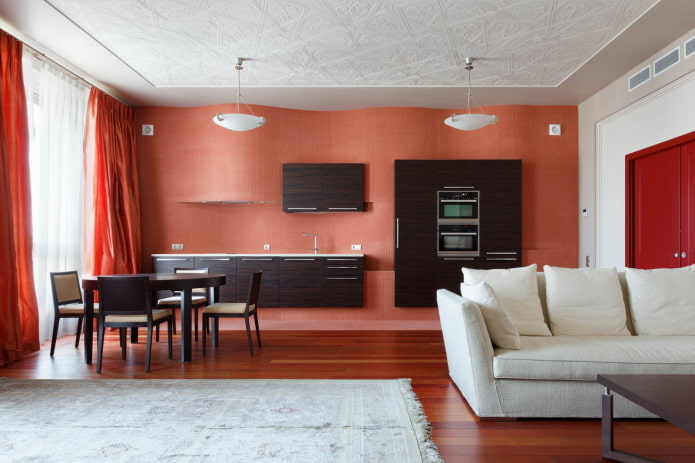 color zoning in the interior of the kitchen-living room