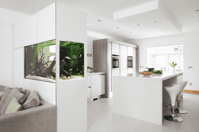 original zoning option in the interior of the kitchen-living room