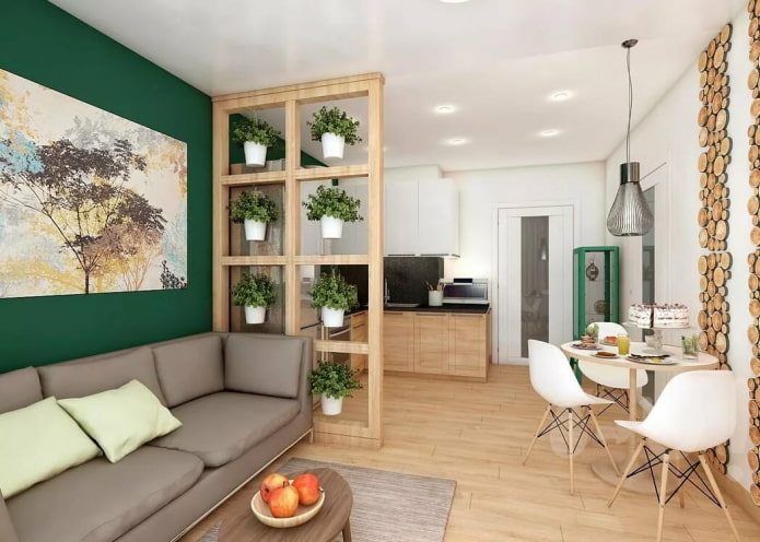 original zoning option in the kitchen-living room interior