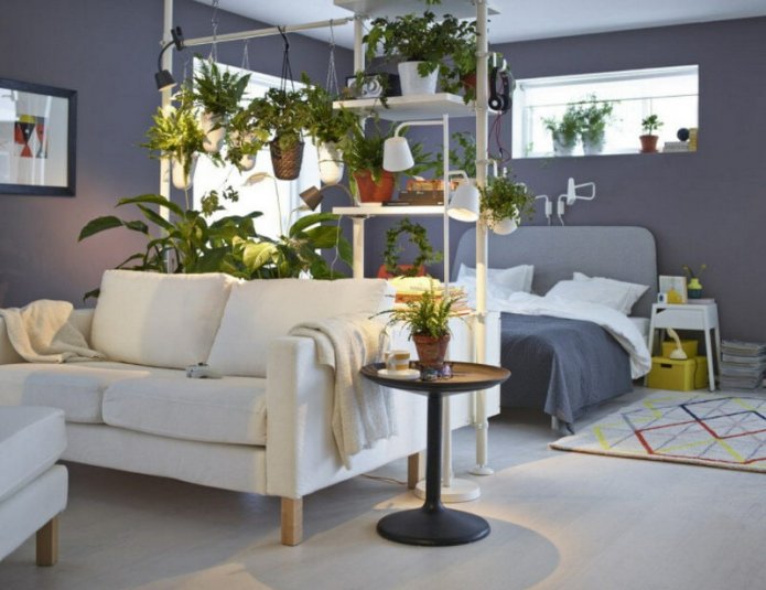 zoning with plants